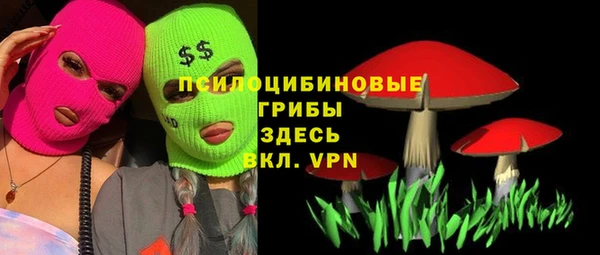 твердый Арсеньев