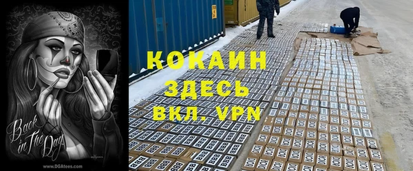 МДПВ Алзамай